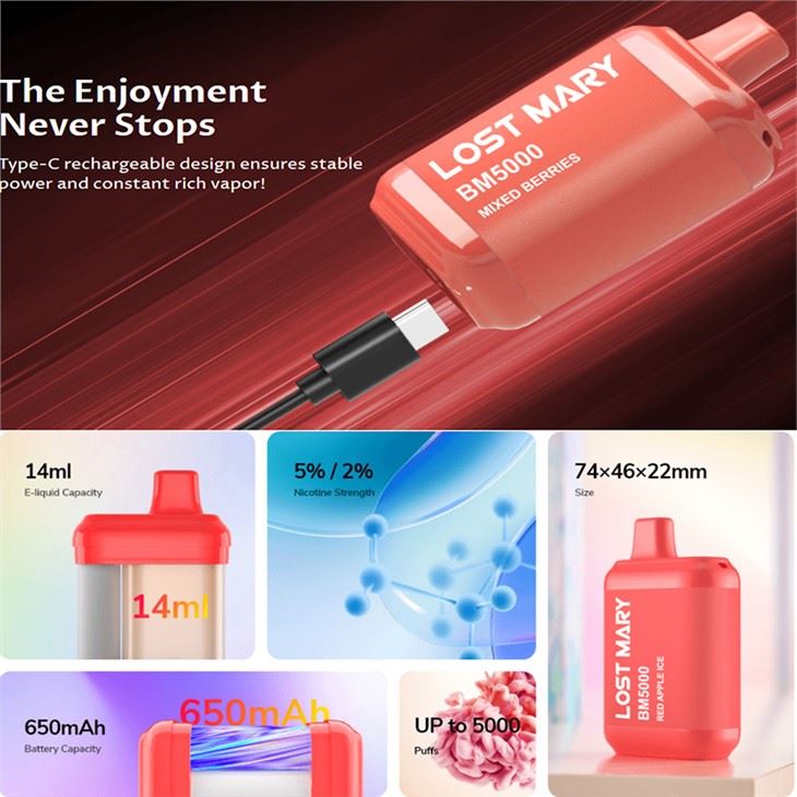 کھوئے ہوئے میری BM5000 ڈسپوزایبل Vape