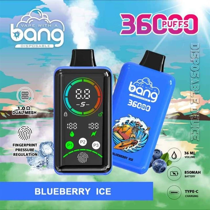 -Blueberry--ice_bang 36K