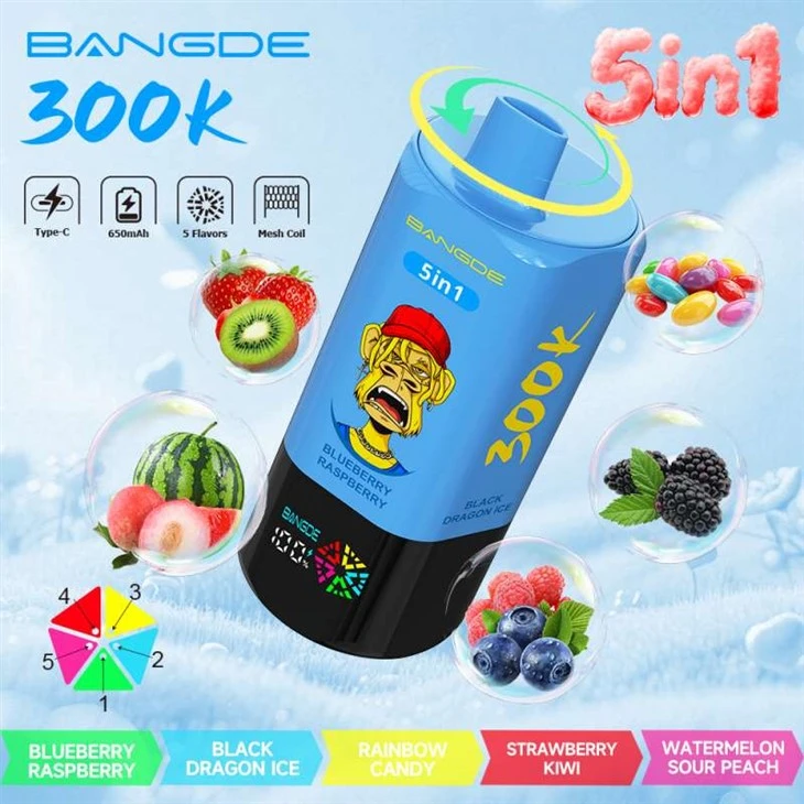 بنگ ڈی 5 میں 1 300K