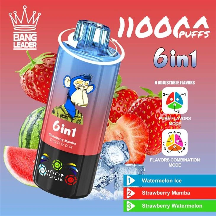 بینگ لیڈر 110000