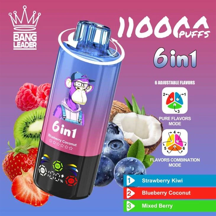 بینگ لیڈر 110K