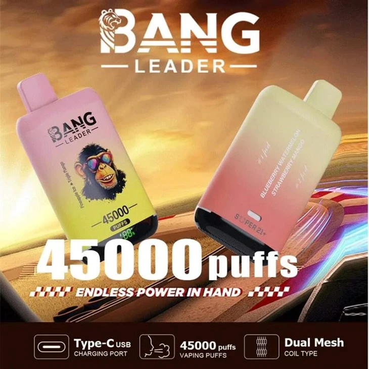 بینگ لیڈر 45K
