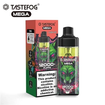 TASTEFOG MEGA 12000 پفس