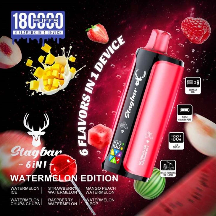 StagBar 180K 6in1 پفس