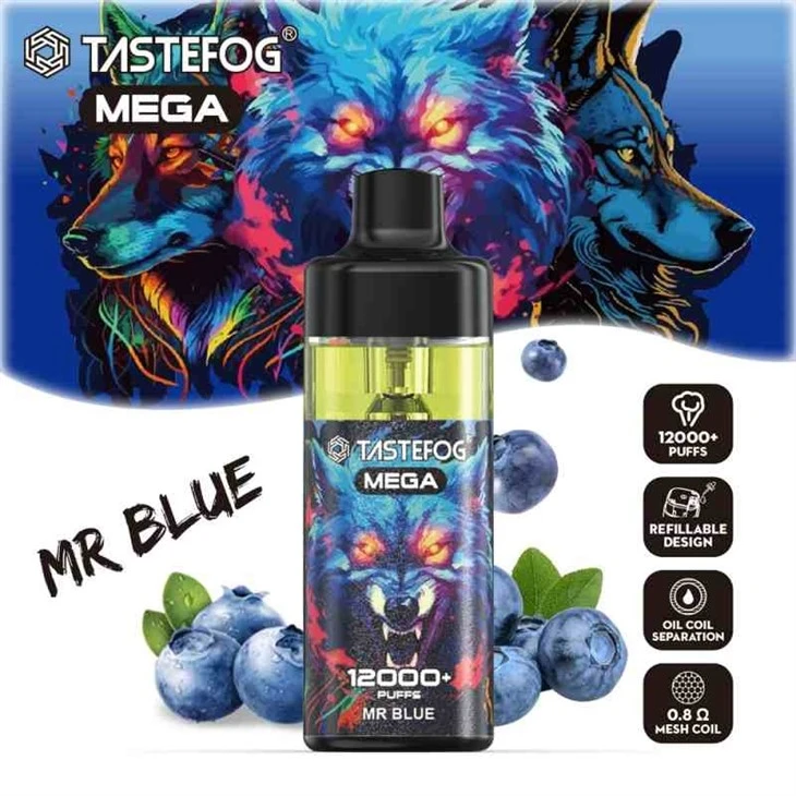TASTEFOG MEGA 12000 25