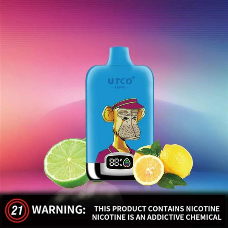 UTCO ڈیجیٹل باکس 12000 پفس واپ