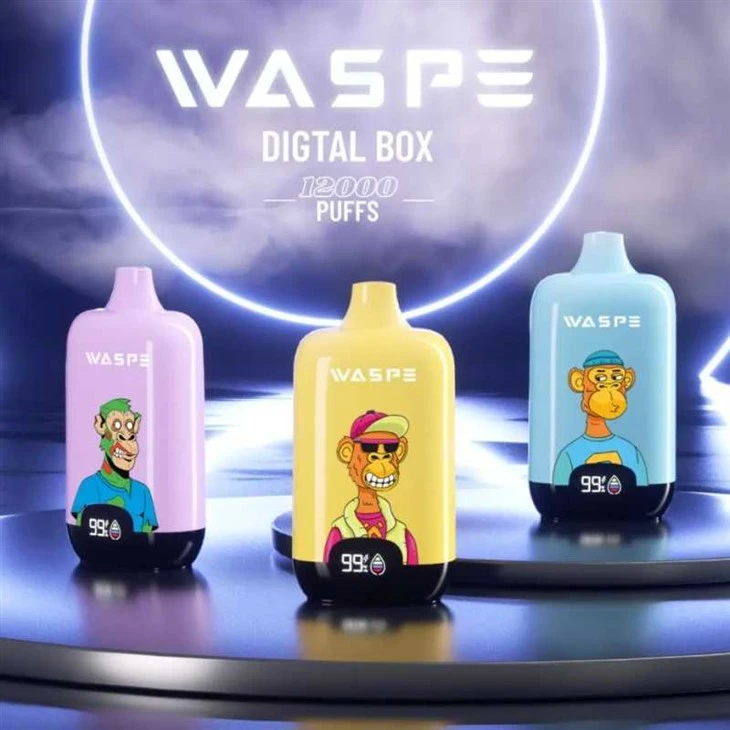 WASPE ڈیجیٹل باکس 12000